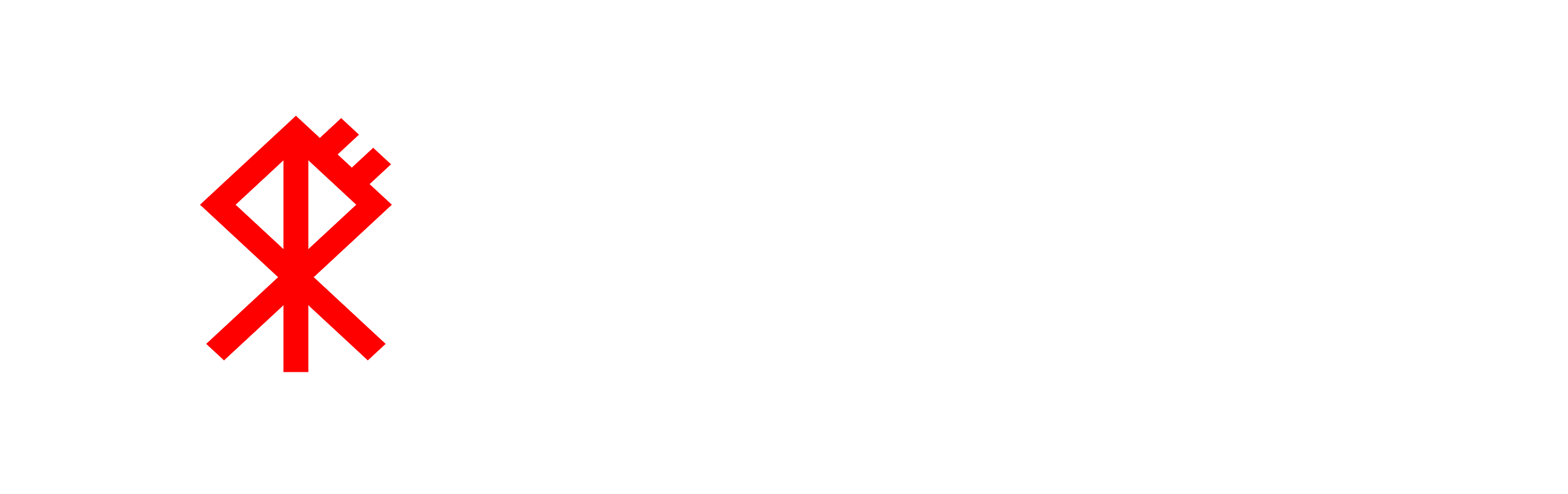 Logotipo Lobo Preto Soluções Digitais